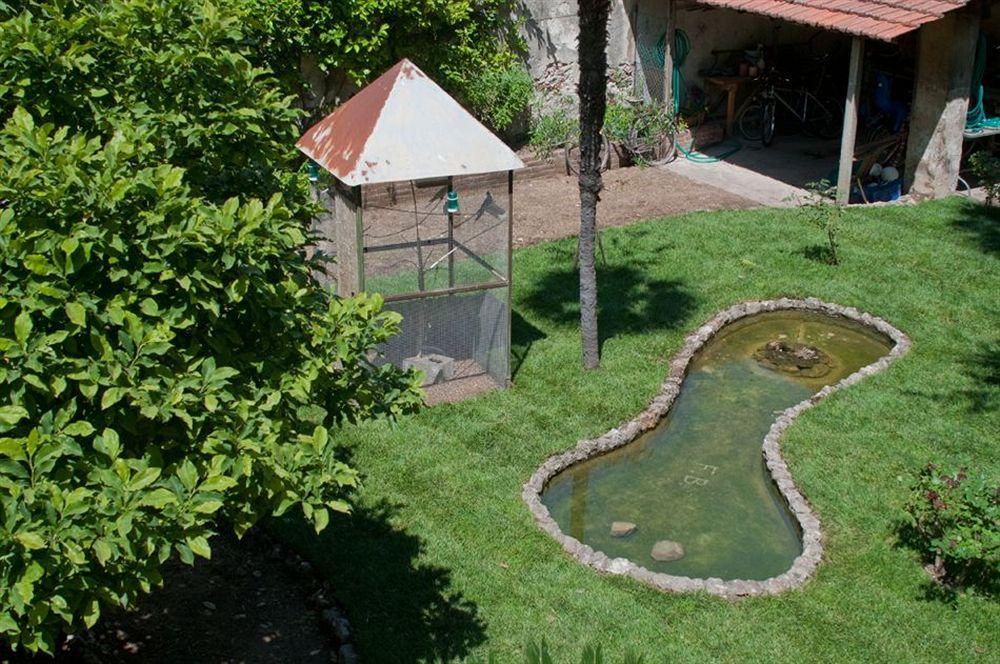 Borgo Largo 51 Bed & Breakfast Pisa Bagian luar foto